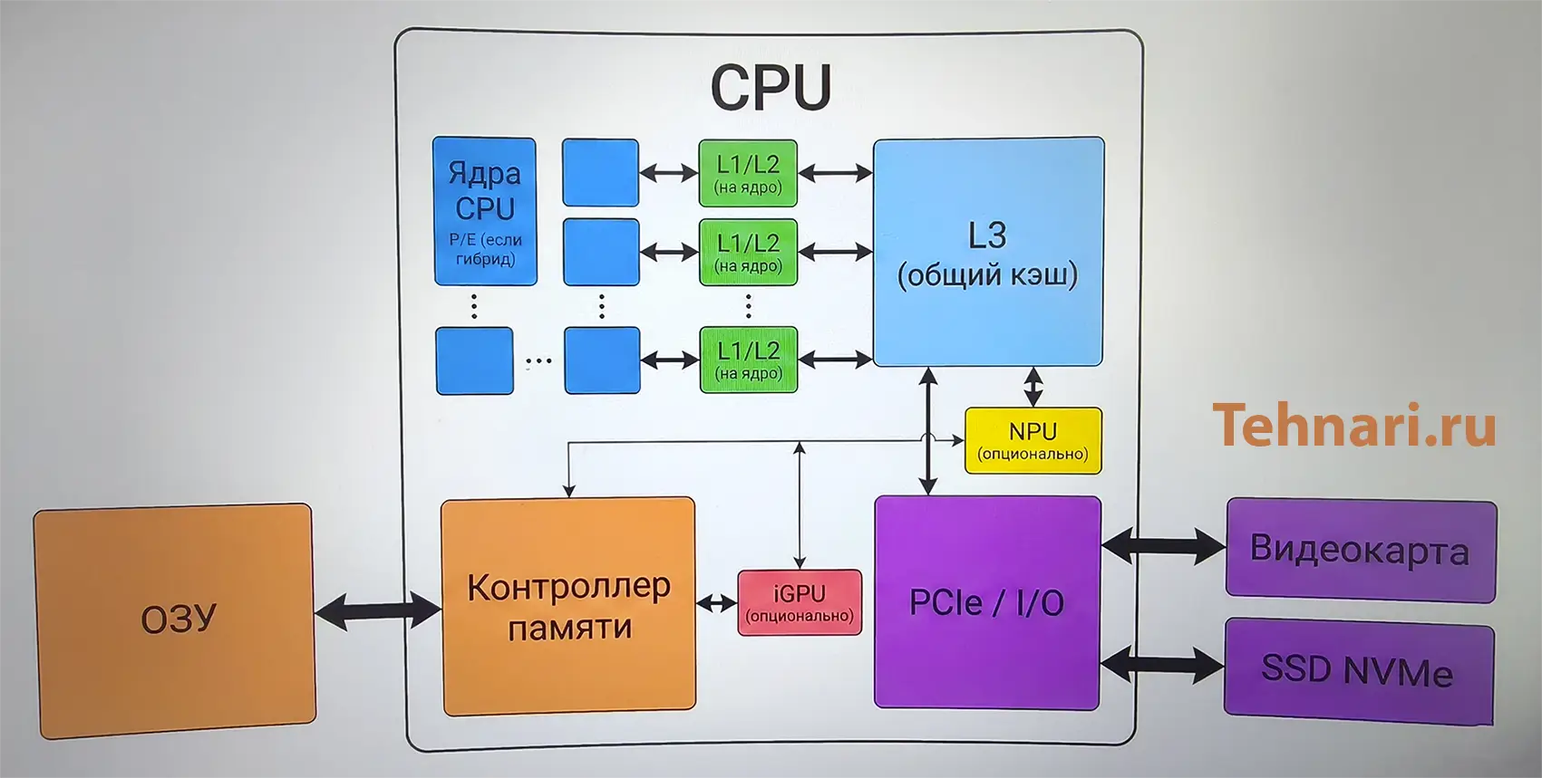 Схема устройства современного процессора: ядра CPU, кэш L1/L2 и L3, контроллер памяти, PCIe/I/O, iGPU и NPU, связь с ОЗУ, видеокартой и NVMe SSD