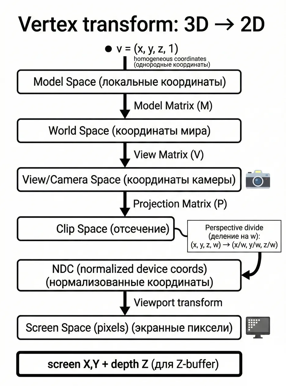 Vertex transform: 3D→2D — путь вершины v(x,y,z,1) через Model Space → World Space → View/Camera Space → Clip Space → Perspective divide (деление на w) → NDC → Viewport transform → Screen Space, выход screen X,Y + depth Z для Z-buffer.
