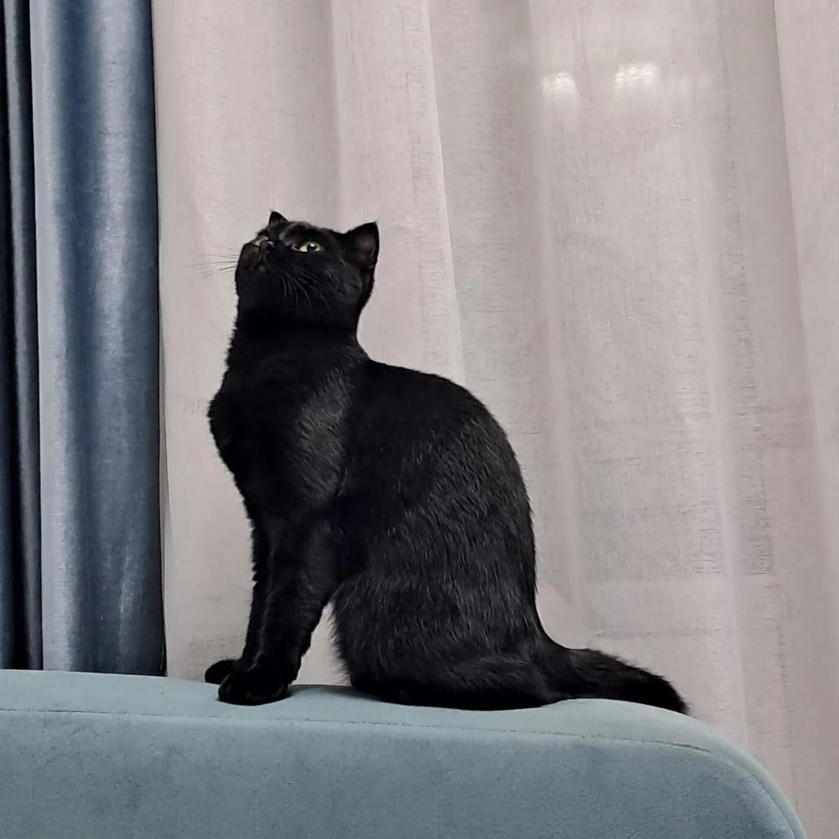 WhatsApp Image 2025-09-23 at 23.47.webp