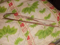 P2230002 (Large).webp