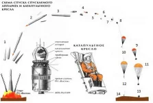 81.1_новый размер.webp