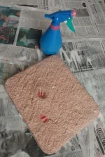 85.4_новый размер.webp