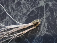 86.7_новый размер.webp