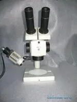 IMG_0006 - копия.webp