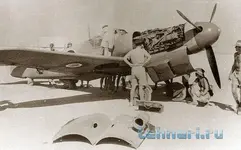 WTF-31.webp WTF-31.webp