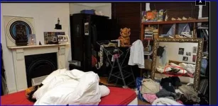 Снимок кот.webp