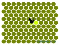 Image 2.webp Image 2.webp