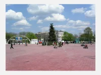 ель армавир.webp