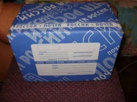 P3010264 (Large).webp