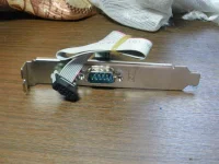 P3010266 (Large).webp