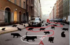 Screenshot-18 (1).webp