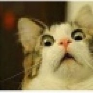 непонимающий