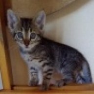 Юный Текник