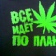 Молодцов Дима