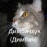 Dimbachxyk