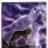 _wolf_